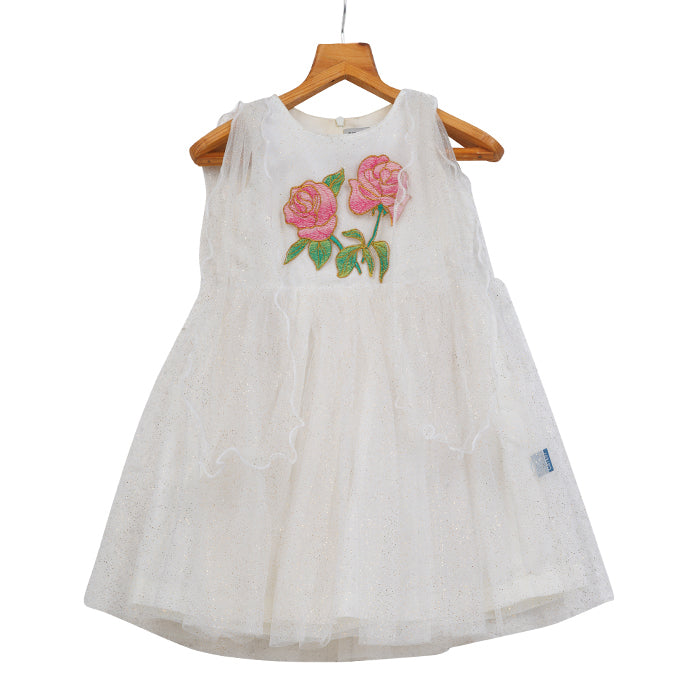 Girls Glitter Tulle & Embroidery Dress