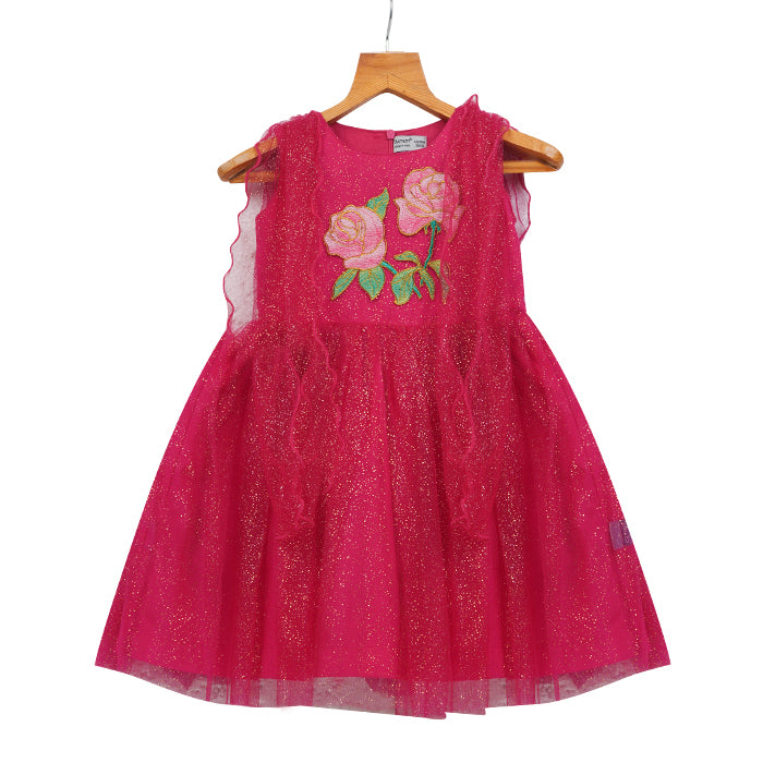 Girls Glitter Tulle & Embroidery Dress